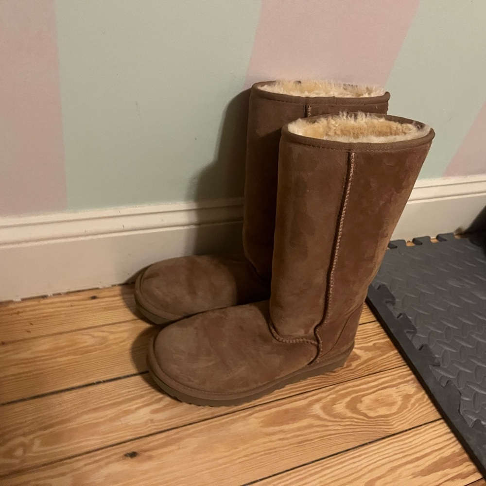Ugg Chestnut Tall Boots